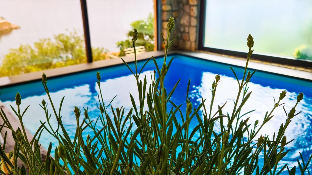 Villa Relax , With Seaview And Two Pools Near Beach スタリー・グラード エクステリア 写真